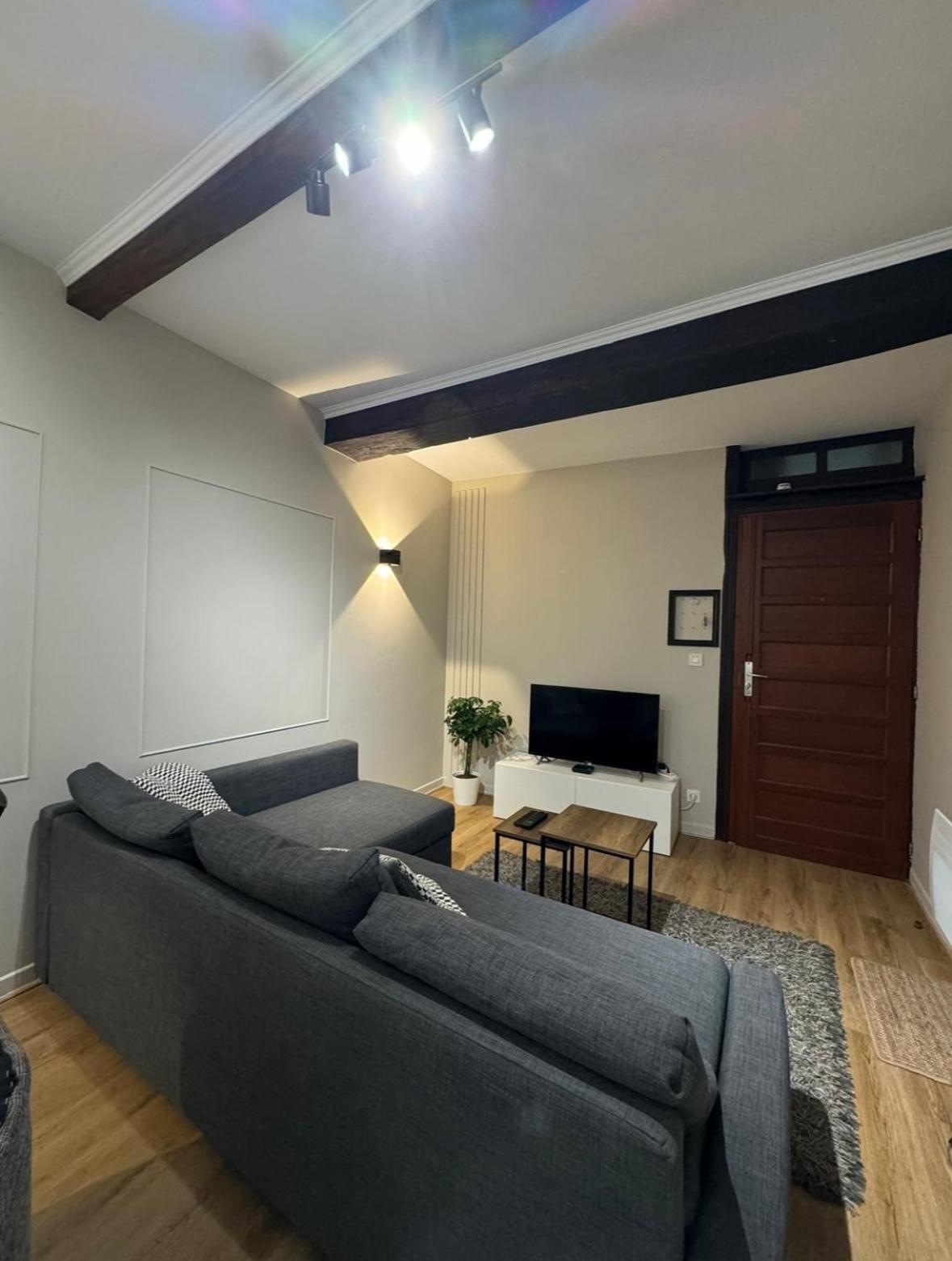Appartement Charmant Hypercentre Avec Patio Prive Et Parking オルレアン エクステリア 写真