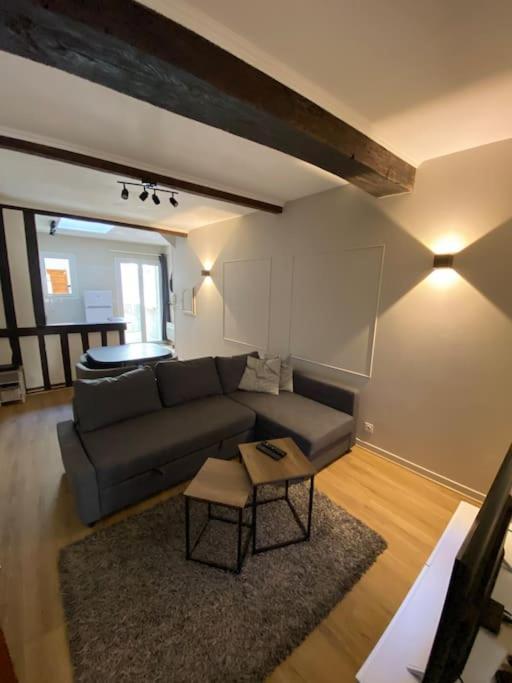 Appartement Charmant Hypercentre Avec Patio Prive Et Parking オルレアン エクステリア 写真